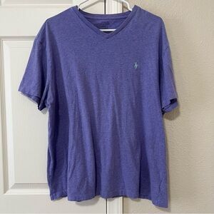 Polo by Ralph Lauren Men's Classic Fit Purple V-Neck Shirt - Large